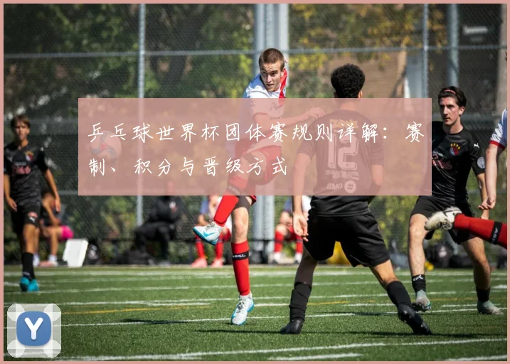 乒乓球世界杯团体赛规则详解：赛制、积分与晋级方式